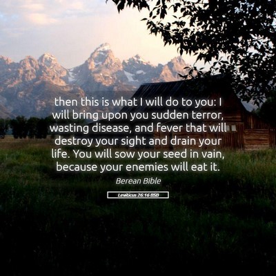 Picture 05 - Leviticus 26:16 BSB - then this is what I will do to you: I will bring - Bible Verse Picture