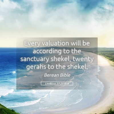 Picture 05 - Leviticus 27:25 BSB - Every valuation will be according to the - Bible Verse Picture