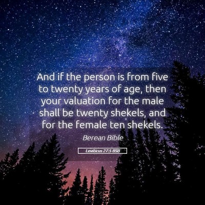 Picture 05 - Leviticus 27:5 BSB - And if the person is from five to twenty years of - Bible Verse Picture