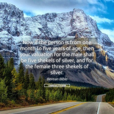 Picture 05 - Leviticus 27:6 BSB - Now if the person is from one month to five years - Bible Verse Picture