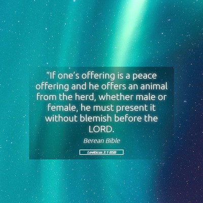 Picture 05 - Leviticus 3:1 BSB - “If one’s offering is a peace offering and he - Bible Verse Picture