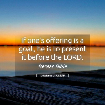 Picture 05 - Leviticus 3:12 BSB - If one’s offering is a goat, he is to present - Bible Verse Picture
