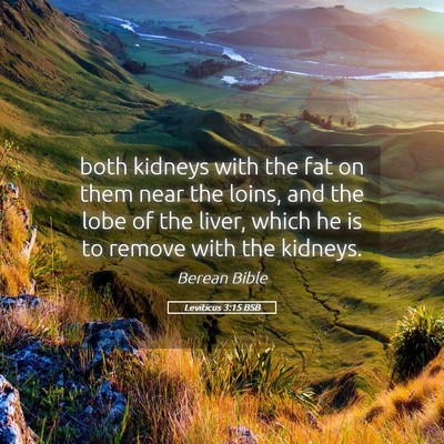 Picture 05 - Leviticus 3:15 BSB - both kidneys with the fat on them near the loins, - Bible Verse Picture