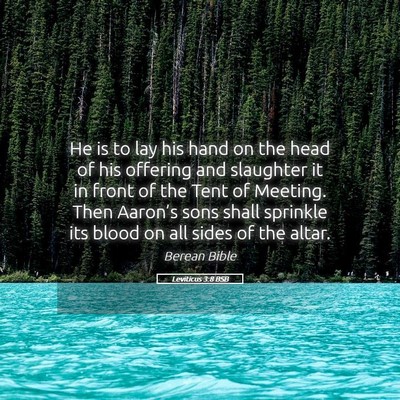 Picture 05 - Leviticus 3:8 BSB - He is to lay his hand on the head of his offering - Bible Verse Picture