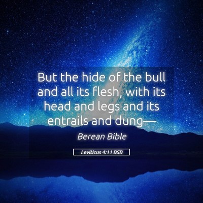 Picture 05 - Leviticus 4:11 BSB - But the hide of the bull and all its flesh, with - Bible Verse Picture
