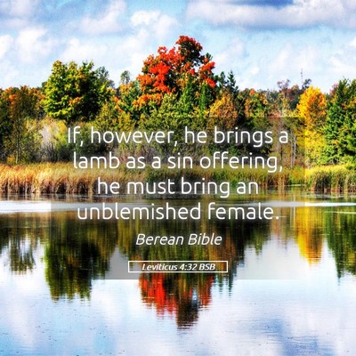 Picture 05 - Leviticus 4:32 BSB - If, however, he brings a lamb as a sin offering, - Bible Verse Picture