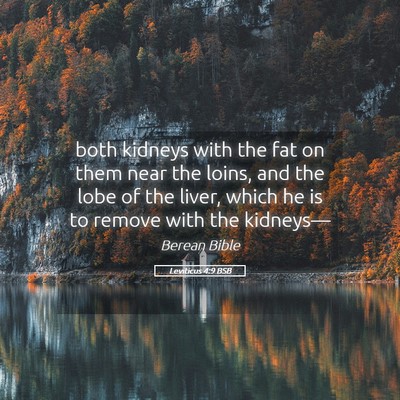 Picture 05 - Leviticus 4:9 BSB - both kidneys with the fat on them near the loins, - Bible Verse Picture