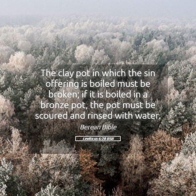 Picture 05 - Leviticus 6:28 BSB - The clay pot in which the sin offering is boiled - Bible Verse Picture