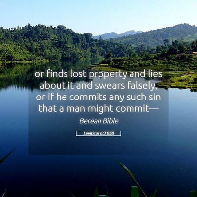 Picture 05 - Leviticus 6:3 BSB - or finds lost property and lies about it and - Bible Verse Picture