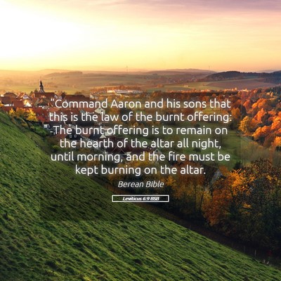 Picture 05 - Leviticus 6:9 BSB - “Command Aaron and his sons that this is the - Bible Verse Picture