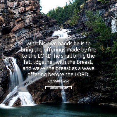 Picture 05 - Leviticus 7:30 BSB - With his own hands he is to bring the offerings - Bible Verse Picture