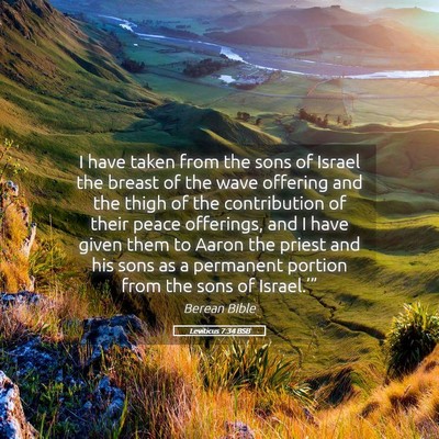 Picture 05 - Leviticus 7:34 BSB - I have taken from the sons of Israel the breast - Bible Verse Picture