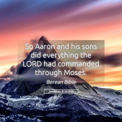 Picture 05 - Leviticus 8:36 BSB - So Aaron and his sons did everything the LORD had - Bible Verse Picture