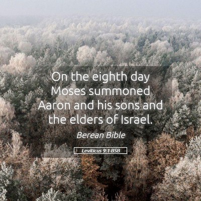 Picture 05 - Leviticus 9:1 BSB - On the eighth day Moses summoned Aaron and his - Bible Verse Picture
