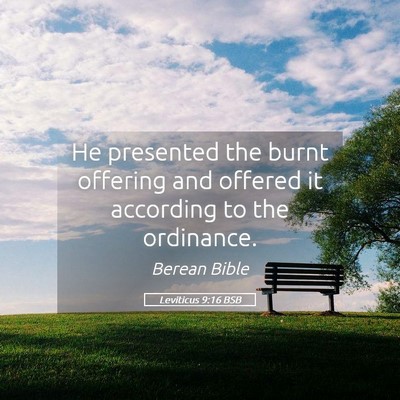 Picture 05 - Leviticus 9:16 BSB - He presented the burnt offering and offered it - Bible Verse Picture