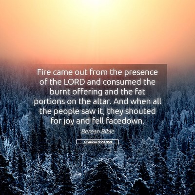 Picture 05 - Leviticus 9:24 BSB - Fire came out from the presence of the LORD and - Bible Verse Picture