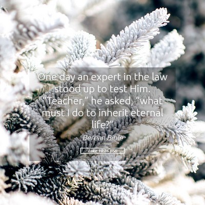 Picture 05 - Luke 10:25 BSB - One day an expert in the law stood up to test - Bible Verse Picture