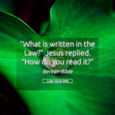 Picture 05 - Luke 10:26 BSB - “What is written in the Law?” Jesus replied. - Bible Verse Picture