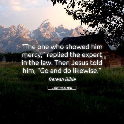 Picture 05 - Luke 10:37 BSB - “The one who showed him mercy,” replied the - Bible Verse Picture