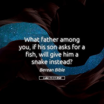 Picture 05 - Luke 11:11 BSB - What father among you, if his son asks for a - Bible Verse Picture