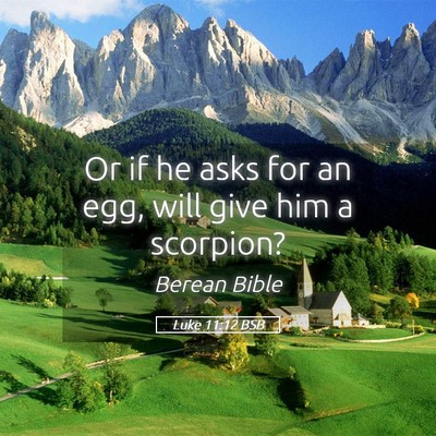 Picture 05 - Luke 11:12 BSB - Or if he asks for an egg, will give him a - Bible Verse Picture