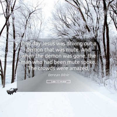 Picture 05 - Luke 11:14 BSB - One day Jesus was driving out a demon that was - Bible Verse Picture