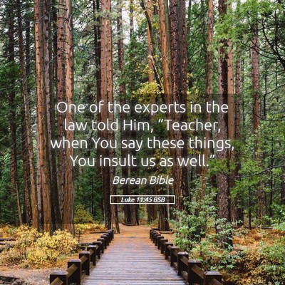 Picture 05 - Luke 11:45 BSB - One of the experts in the law told Him, - Bible Verse Picture