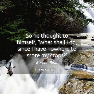 Picture 05 - Luke 12:17 BSB - So he thought to himself, ‘What shall I do, - Bible Verse Picture