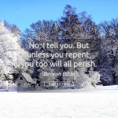 Picture 05 - Luke 13:3 BSB - No, I tell you. But unless you repent, you too - Bible Verse Picture