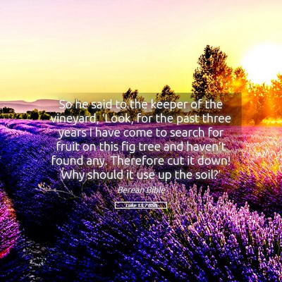 Picture 05 - Luke 13:7 BSB - So he said to the keeper of the vineyard, - Bible Verse Picture