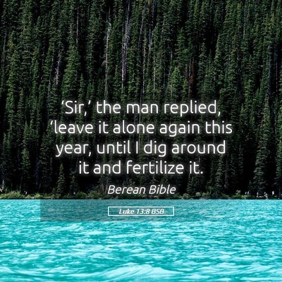 Picture 05 - Luke 13:8 BSB - ‘Sir,’ the man replied, ‘leave it alone - Bible Verse Picture
