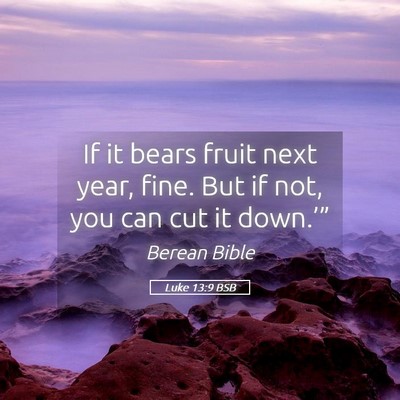 Picture 05 - Luke 13:9 BSB - If it bears fruit next year, fine. But if not, - Bible Verse Picture
