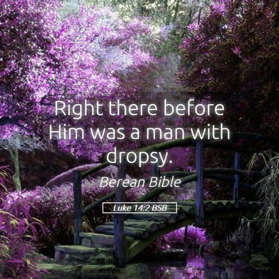 Picture 05 - Luke 14:2 BSB - Right there before Him was a man with - Bible Verse Picture