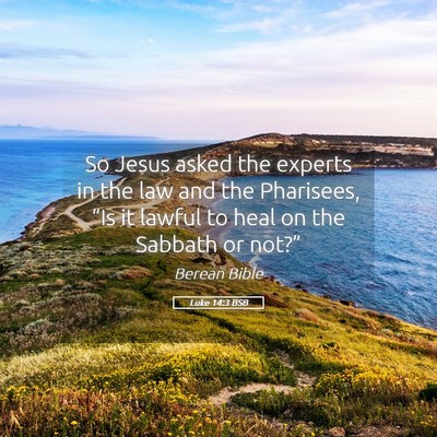 Picture 05 - Luke 14:3 BSB - So Jesus asked the experts in the law and the - Bible Verse Picture