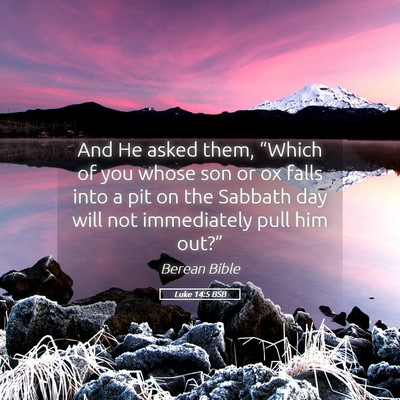 Picture 05 - Luke 14:5 BSB - And He asked them, “Which of you whose son or - Bible Verse Picture