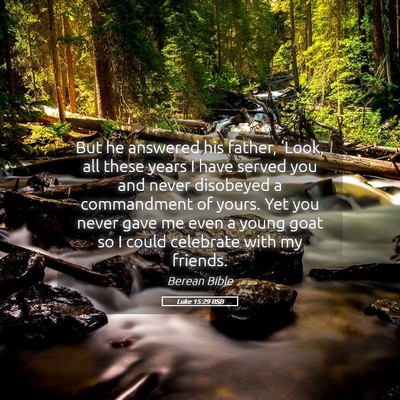 Picture 05 - Luke 15:29 BSB - But he answered his father, ‘Look, all these - Bible Verse Picture