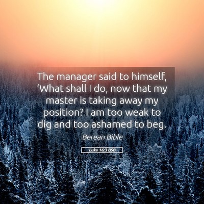 Picture 05 - Luke 16:3 BSB - The manager said to himself, ‘What shall I do, - Bible Verse Picture