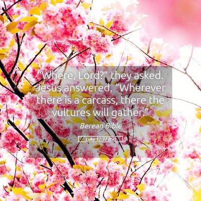 Picture 05 - Luke 17:37 BSB - “Where, Lord?” they asked. Jesus answered, - Bible Verse Picture