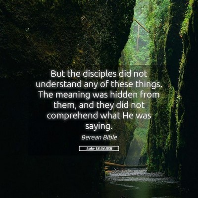Picture 05 - Luke 18:34 BSB - But the disciples did not understand any of these - Bible Verse Picture