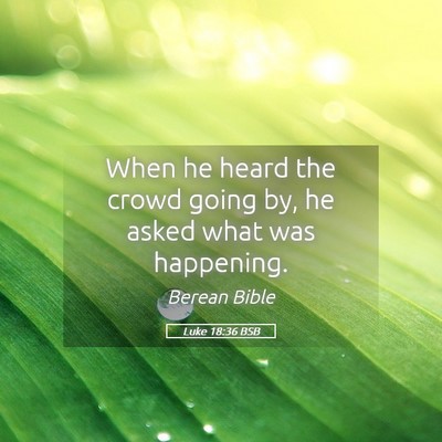 Picture 05 - Luke 18:36 BSB - When he heard the crowd going by, he asked what - Bible Verse Picture