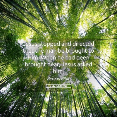 Picture 05 - Luke 18:40 BSB - Jesus stopped and directed that the man be - Bible Verse Picture