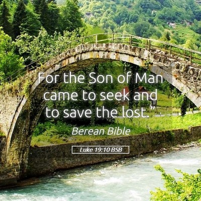 Picture 05 - Luke 19:10 BSB - For the Son of Man came to seek and to save the - Bible Verse Picture