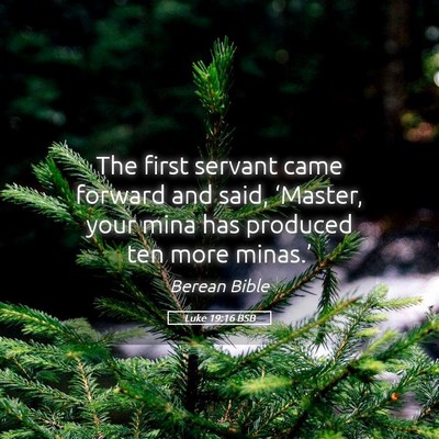 Picture 05 - Luke 19:16 BSB - The first servant came forward and said, - Bible Verse Picture