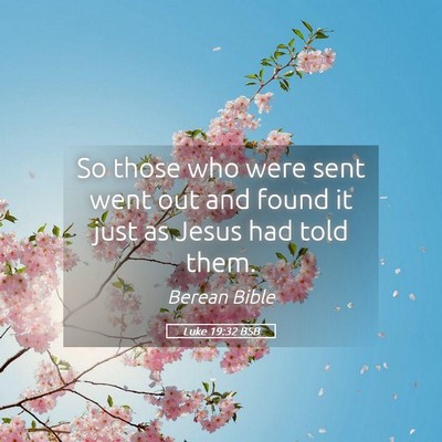 Picture 05 - Luke 19:32 BSB - So those who were sent went out and found it just - Bible Verse Picture