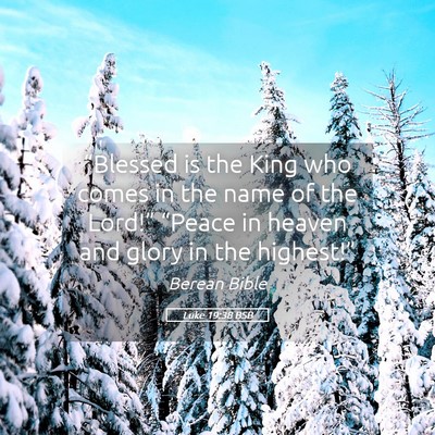 Picture 05 - Luke 19:38 BSB - “Blessed is the King who comes in the name of - Bible Verse Picture