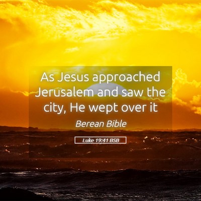 Picture 05 - Luke 19:41 BSB - As Jesus approached Jerusalem and saw the city, - Bible Verse Picture