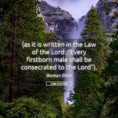 Picture 05 - Luke 2:23 BSB - (as it is written in the Law of the Lord: - Bible Verse Picture
