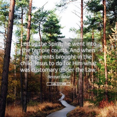 Picture 05 - Luke 2:27 BSB - Led by the Spirit, he went into the temple - Bible Verse Picture