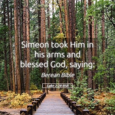 Picture 05 - Luke 2:28 BSB - Simeon took Him in his arms and blessed God, - Bible Verse Picture