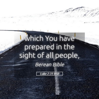 Picture 05 - Luke 2:31 BSB - which You have prepared in the sight of all - Bible Verse Picture